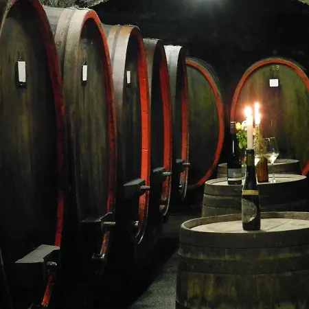 호텔 Weingut Stassen *