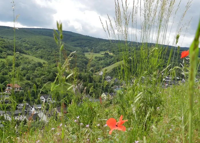 Weingut Stassen 酒店 *